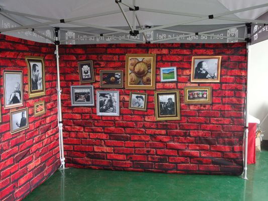 8x8ft विज्ञापन आउटडोर चंदवा तम्बू 10X10ft आसान पॉप अप चंदवा तम्बू